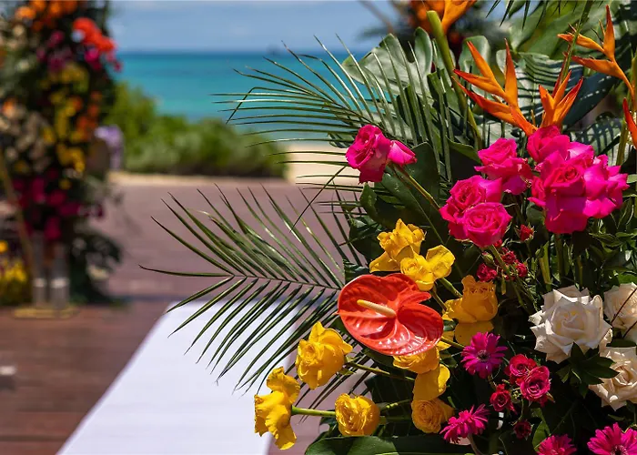 Paradisus By Melia La Perla (adults Only) Hotel 5*